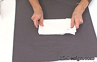 Folding Håndklæde: Fan: Håndklædefolding