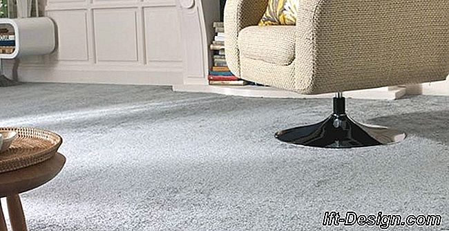 ¿Cómo quitar una mancha de barro en la alfombra?