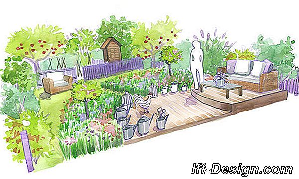 Ainavu veidošanas padomi: lauku dārzs: dārzs