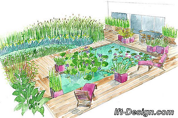 Tereprendezési tippek: víz kert: kert