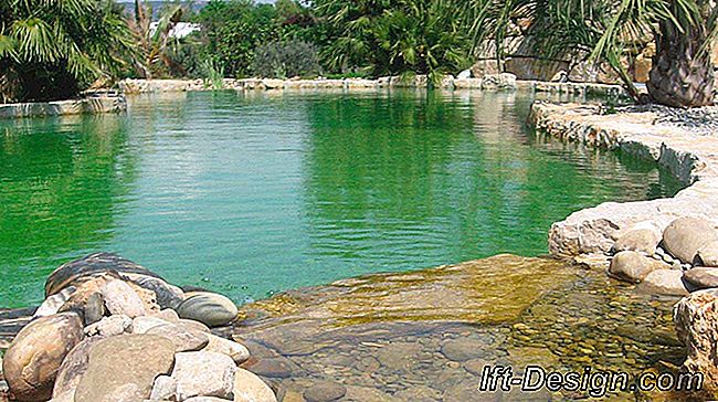 Dosar: bazinul ecologic: piscină