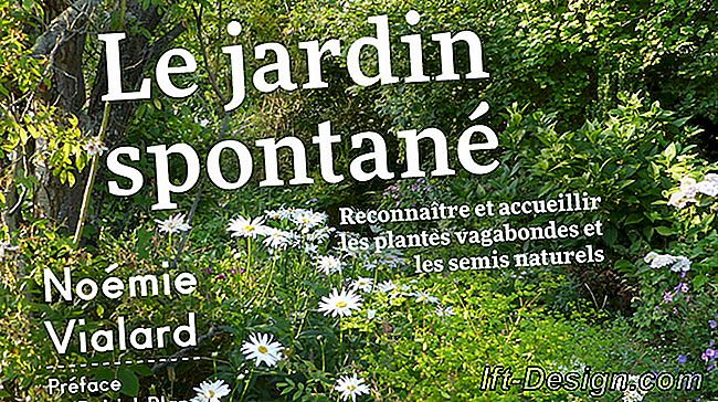 Le Jardin Spontane'nin yazarı Noémie Vialard ile söyleşi: olan
