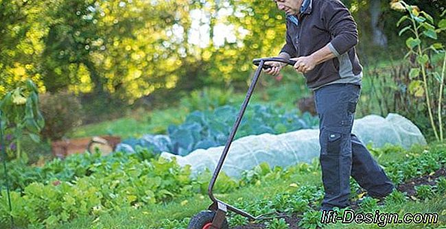 Jardinagem para lutar contra o estresse