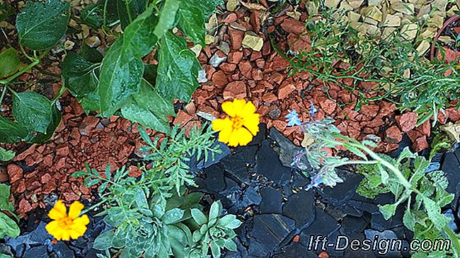 Stap voor stap: een kleurrijke minerale mulch: stap