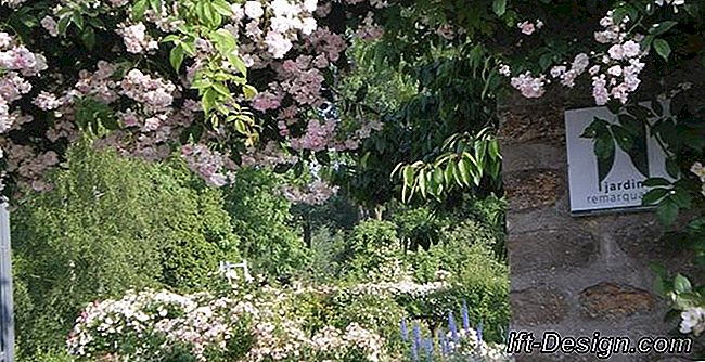 Encontro com Bertrande de Ladoucette, criador dos Jardins de Viels-Maisons