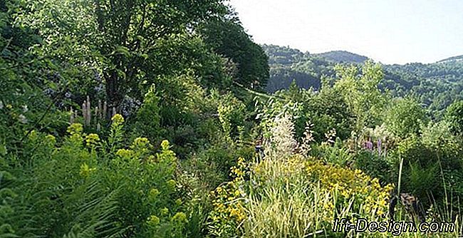 Garden ve Objects Panré'in bahçıvanı Jean-Louis Roland ile buluşma