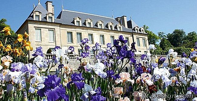 Encontro com Martine Loobuyck, gerente do Parque e Jardim do Château d'Auvers