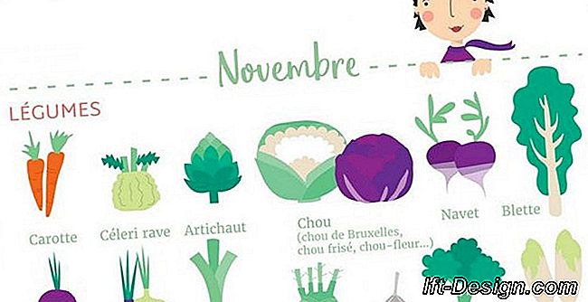 Kalender buah dan sayuran musiman: bulan November!