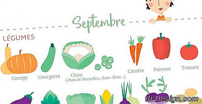 Atvyko rugsėjo mėnesio vaisių ir daržovių sezoninis kalendorius!
