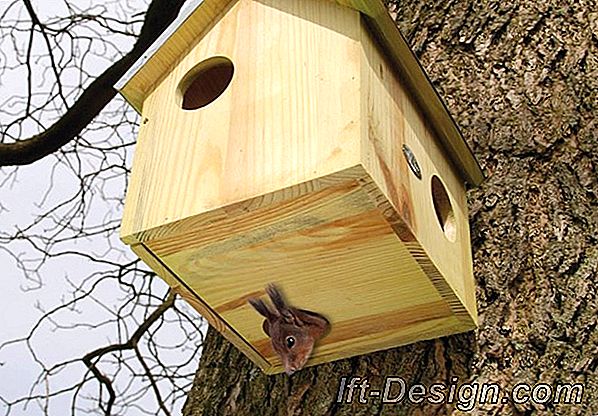 Tuto: Byg et balkon fuglehus for fugle