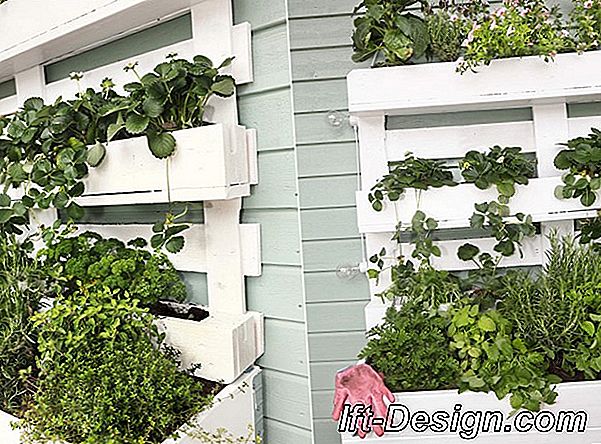 Tuto: Lav en vertikal have med aromatiske planter