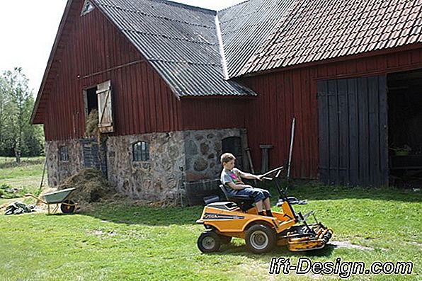 Arbejdsoverlevelsesguiden: hvordan man tømmer et værelse?