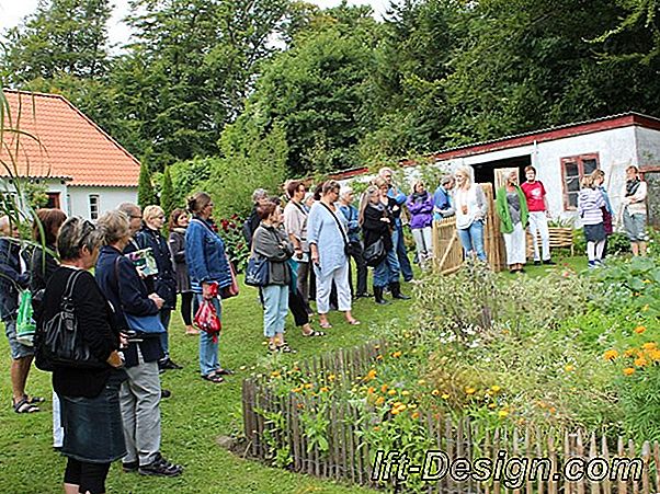 En køkkenhave på sin balkon: råd fra Florent Imperiale