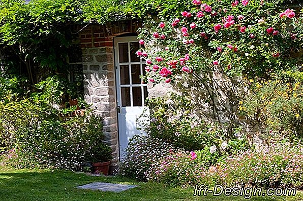 Trend: Lila setzt sich im ganzen Haus ab