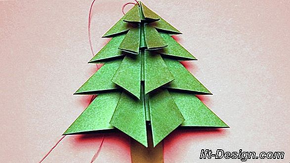 Ein Tannenbaum für ein verantwortungsbewusstes Weihnachtsfest