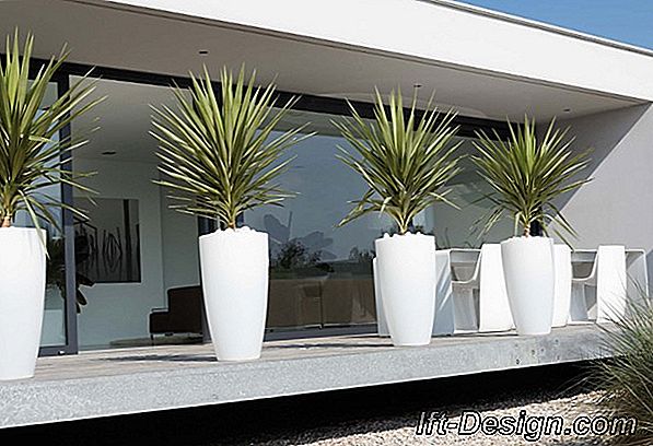 6 Dekorative Pflanzgefäße für Ihre Fenster