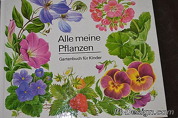 Gartenbuch: 