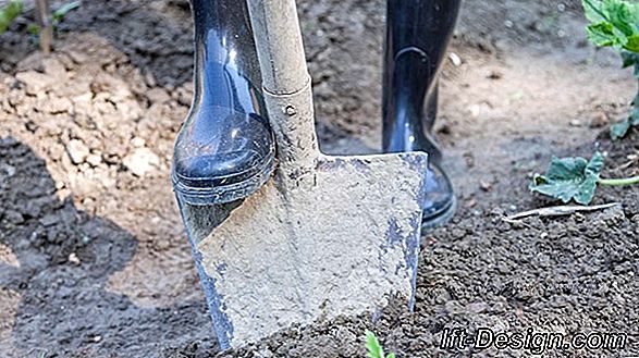 Garten und Regen: was tun?