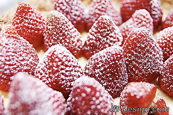 Ich möchte Erdbeeren auf meinem Fenster!