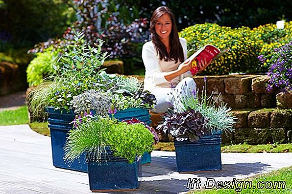 Bereiten Sie Ihren Garten für sonnige Tage vor