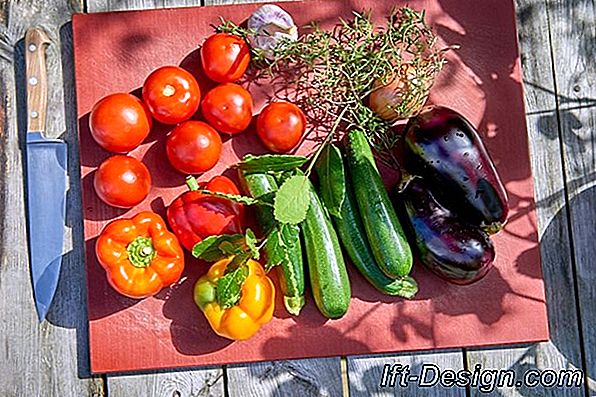 Tomaten, Zucchini, Auberginen, Pfeffer: Wann pflanzen Sie das Gemüse der Sonne?