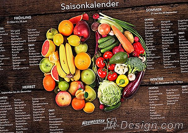 Der saisonale Obst- und Gemüsekalender für den Monat September ist da!