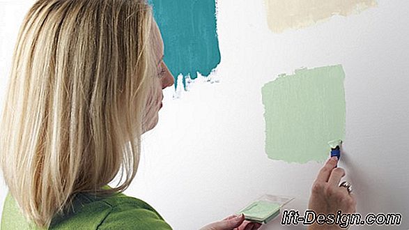 ¿Qué pinturas elegir?