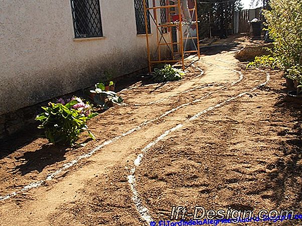 Antes / Después: reestructurar el espacio en tres viveros.