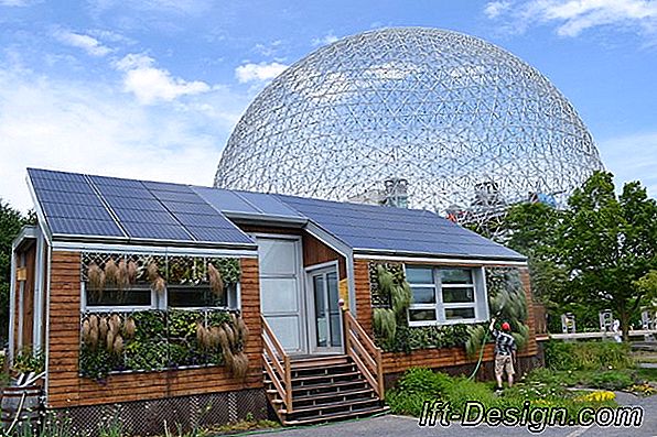 Crea un ecosistema en tu techo.