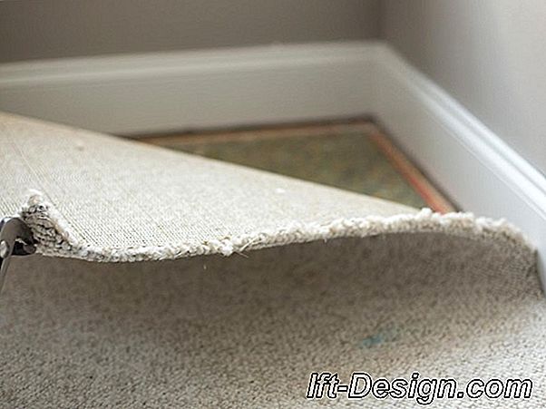 ¿Cómo quitar la alfombra de la pared?