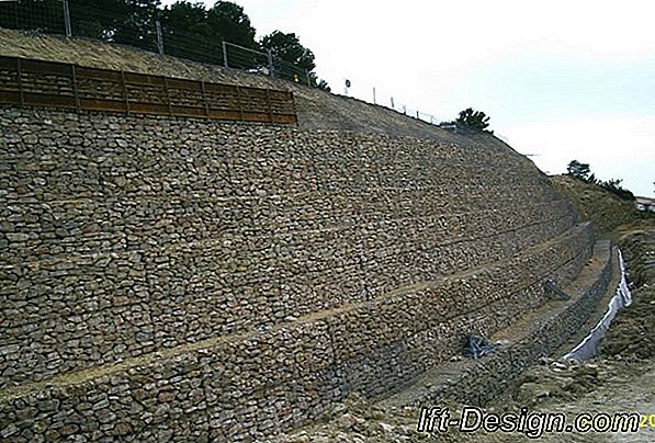 Muro colindante: ¿cuáles son tus derechos?