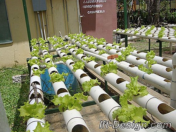 Invernaderos de jardín para todos los cultivos.