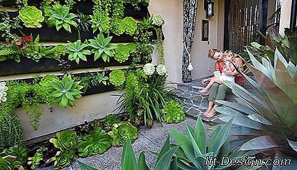 ¿Cómo decorar la pared de su terraza?