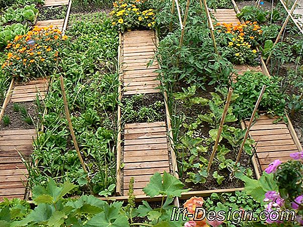 Kits de jardinería para jardinería en ciudad: nuestra selección.