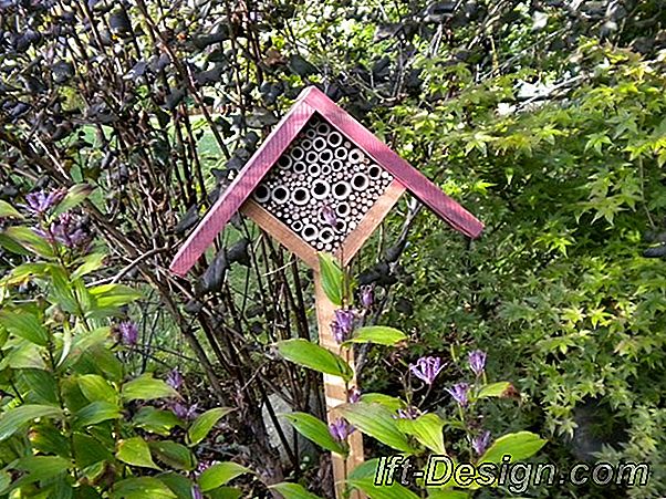 Todo sobre el papel de los insectos en el jardín, con Vincent Albouy.