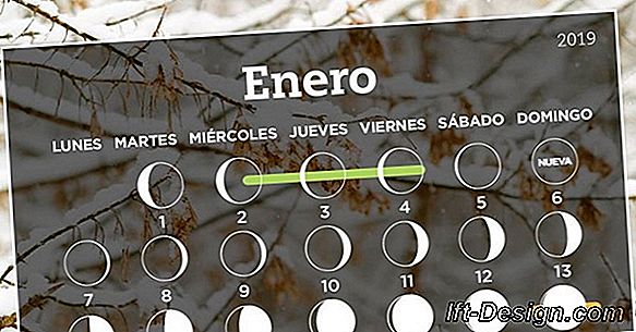 Calendario lunar de jardinería febrero 2019.