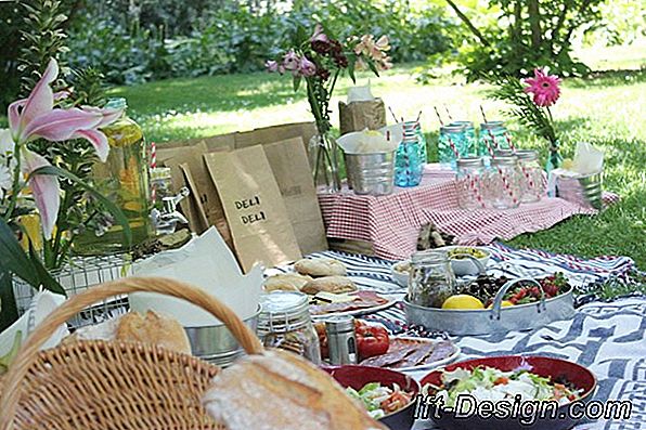 10 Ideas para organizar un picnic romántico