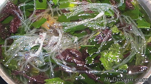 Retirar un lugar mohoso en algas marinas