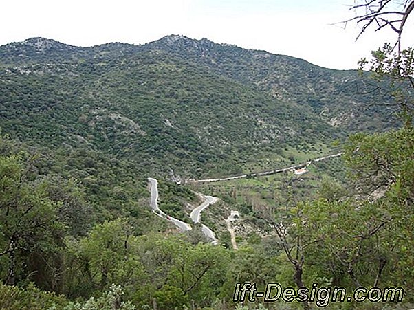 Los pájaros hacen cantar el paisaje