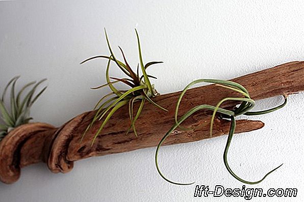 Driftwood, generador de ideas deco.