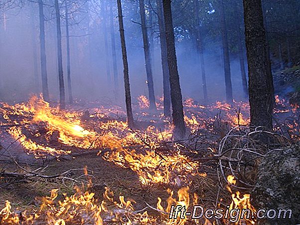 Diseño de incendios, dispositivos de extinción de incendios!