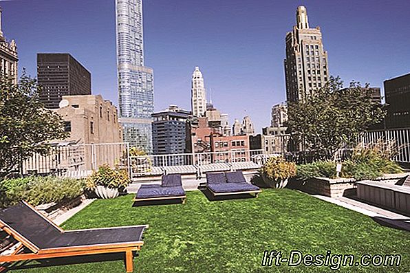 Zeleni krovovi: zelena pluća u gradu