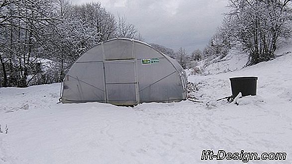 Smrznuta zemlja, snijeg...: savjeti za sigurno kretanje u vašem vrtu ili balkonu