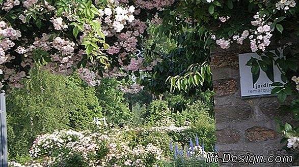 Susret s Bertrande de Ladoucette, tvorcem Jardins de Viels-Maisons