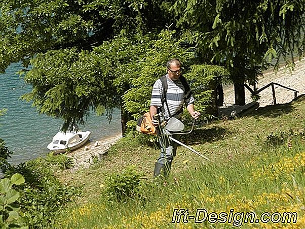 Posjet: žetva cvijeća u improviziranom vrtu Sybil