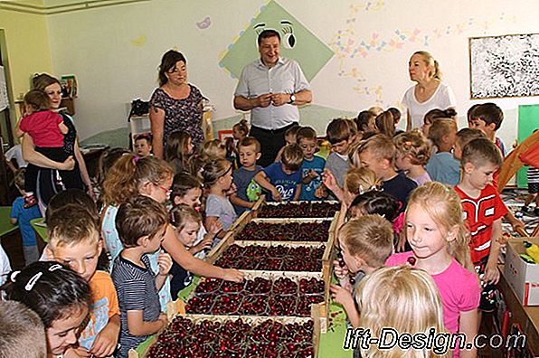 Kalendar voća i povrća iz lipnja