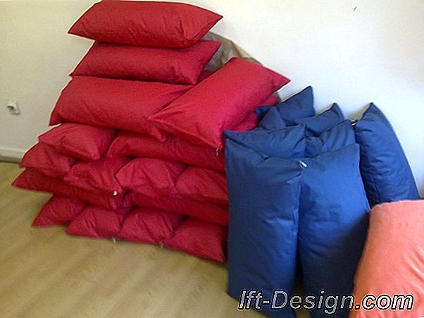 Koji jastuci koristiti s tepihom zebre?