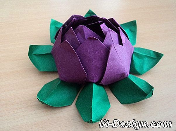 U posebnom origami crtežu: japanska dizalica