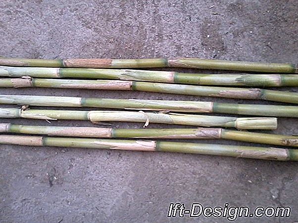 Bambusovi predmeti u cijeloj kući