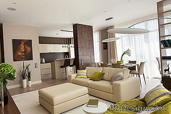 Milyen színű a szőnyeg, a kanapé és a bútorok a rusztikus dekorációval és a modern érintéssel?